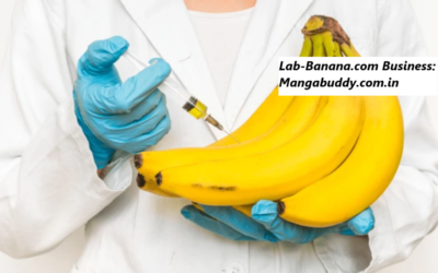 lab-banana.com business