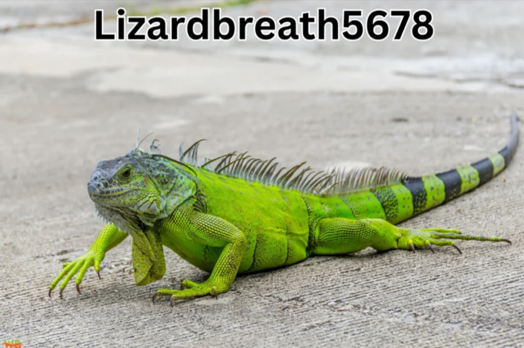 Lizardbreath5678