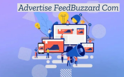 Feedbuzzard com